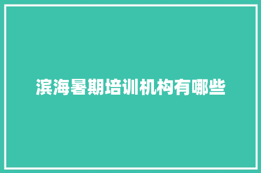 滨海暑期培训机构有哪些 未命名