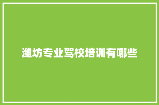 潍坊专业驾校培训有哪些 未命名