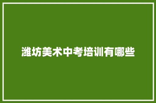 潍坊美术中考培训有哪些 未命名