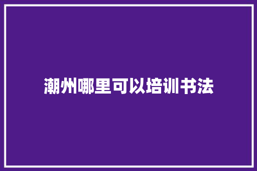 潮州哪里可以培训书法