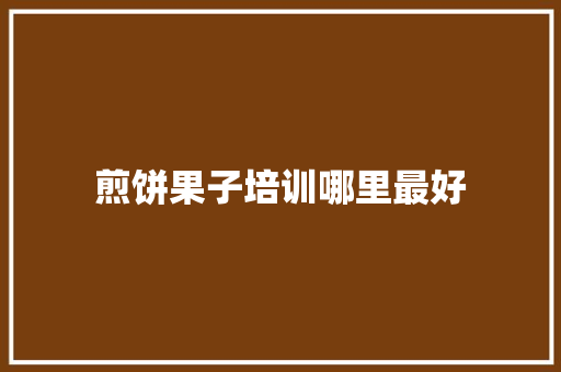 煎饼果子培训哪里最好 未命名