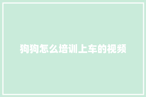 狗狗怎么培训上车的视频 未命名