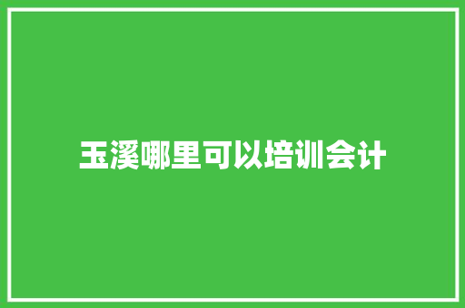 玉溪哪里可以培训会计