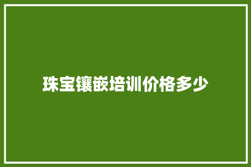 珠宝镶嵌培训价格多少 未命名