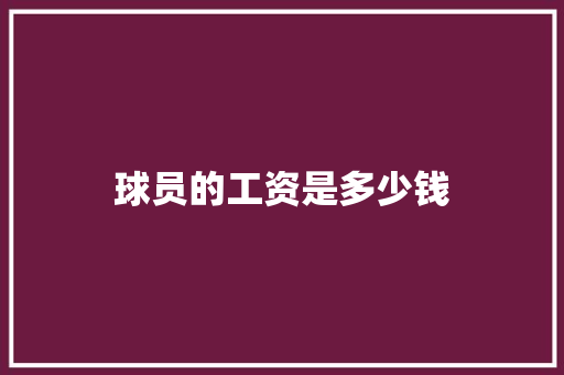 球员的工资是多少钱 未命名