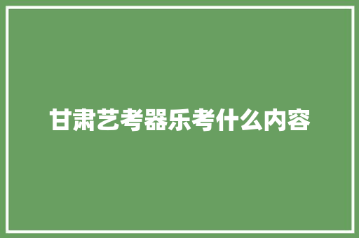 甘肃艺考器乐考什么内容 未命名