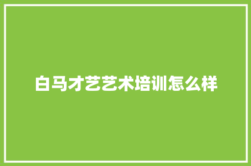 白马才艺艺术培训怎么样