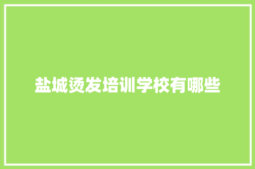 盐城烫发培训学校有哪些 未命名