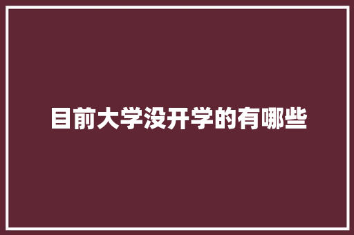 目前大学没开学的有哪些