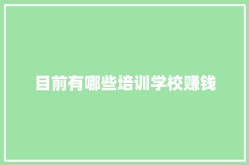 目前有哪些培训学校赚钱 未命名