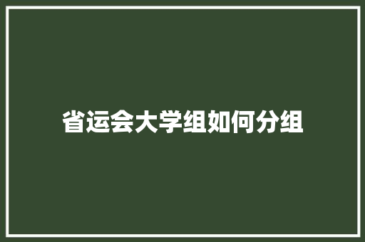 省运会大学组如何分组