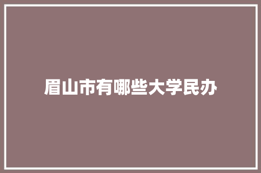 眉山市有哪些大学民办