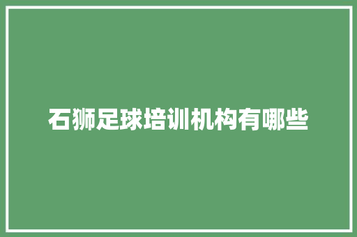 石狮足球培训机构有哪些 未命名