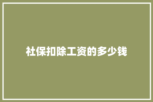 社保扣除工资的多少钱