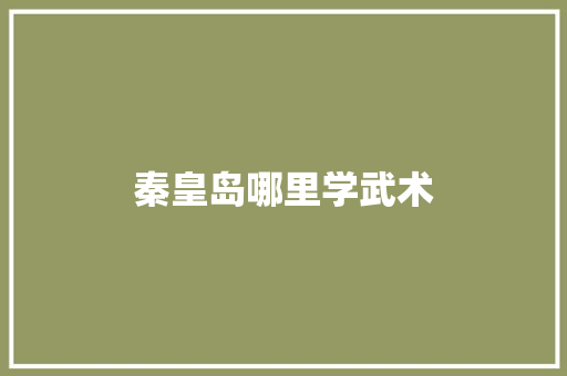 秦皇岛哪里学武术 未命名