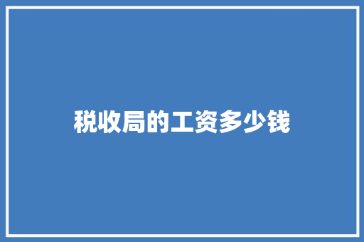 税收局的工资多少钱