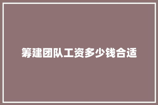 筹建团队工资多少钱合适 未命名