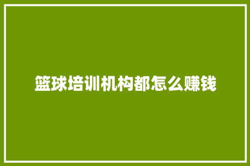 篮球培训机构都怎么赚钱 未命名