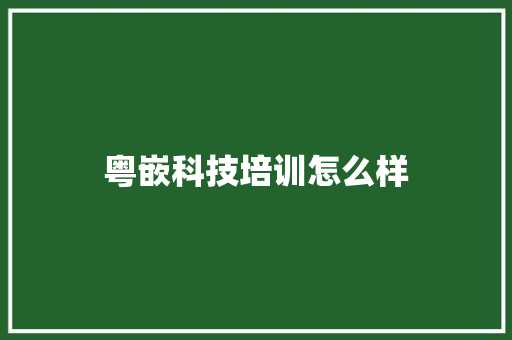 粤嵌科技培训怎么样