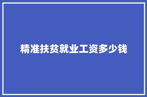 精准扶贫就业工资多少钱