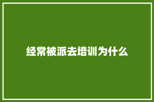 经常被派去培训为什么 未命名