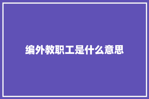 编外教职工是什么意思