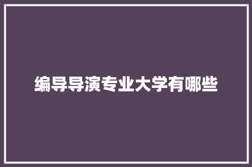 编导导演专业大学有哪些 未命名