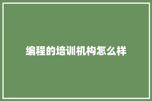 编程的培训机构怎么样 未命名