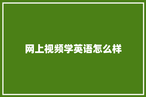 网上视频学英语怎么样