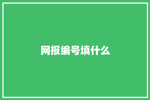 网报编号填什么