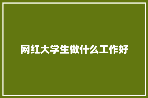 网红大学生做什么工作好