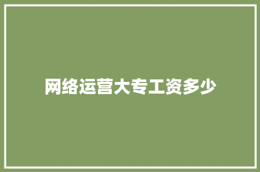 网络运营大专工资多少 未命名