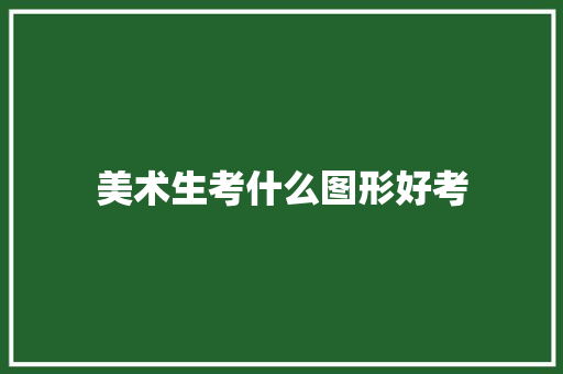 美术生考什么图形好考