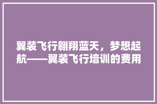 翼装飞行翱翔蓝天，梦想起航——翼装飞行培训的费用与价值 未命名