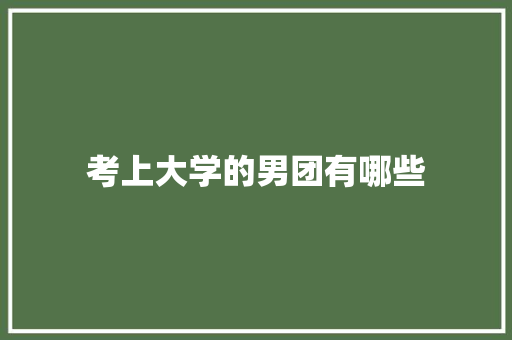 考上大学的男团有哪些 未命名