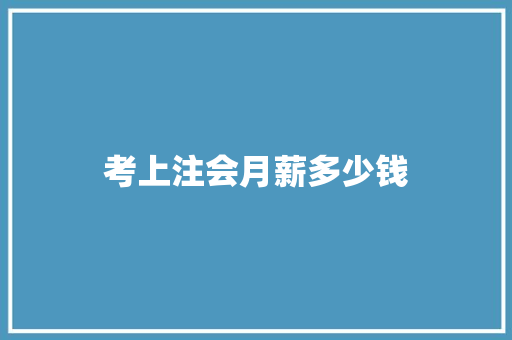 考上注会月薪多少钱