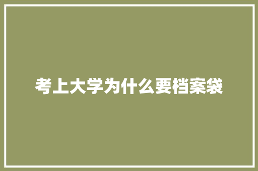 考上大学为什么要档案袋 未命名