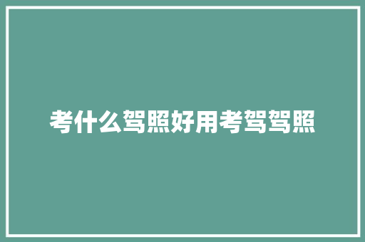 考什么驾照好用考驾驾照