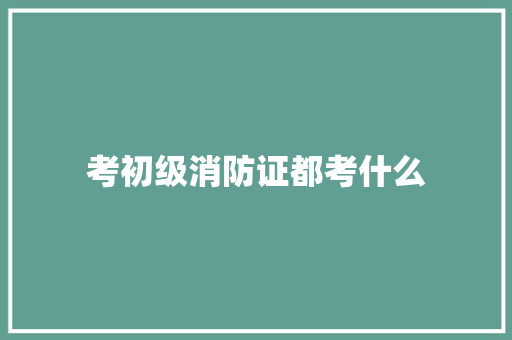 考初级消防证都考什么 未命名