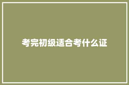 考完初级适合考什么证