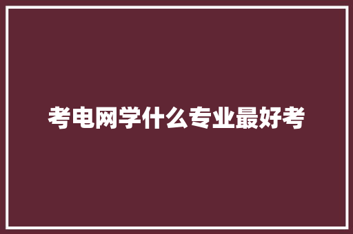 考电网学什么专业最好考 未命名