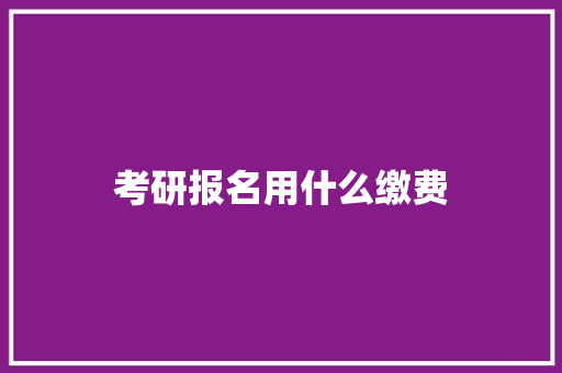 考研报名用什么缴费