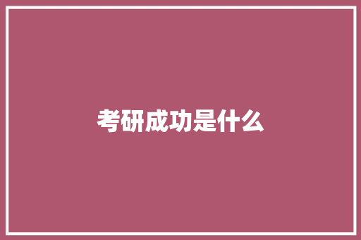 考研成功是什么