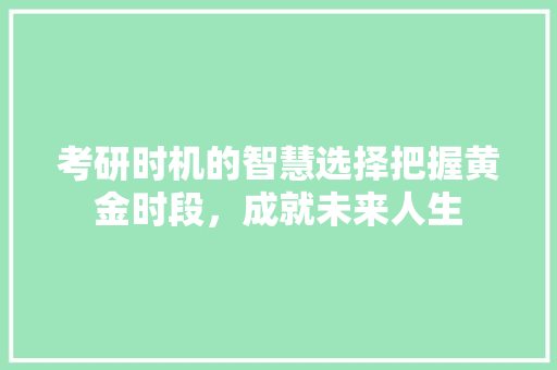 考研时机的智慧选择把握黄金时段，成就未来人生 未命名