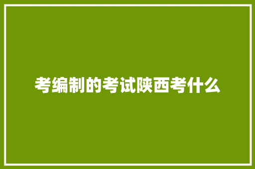 考编制的考试陕西考什么 未命名