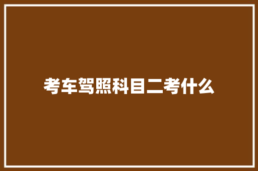 考车驾照科目二考什么 未命名