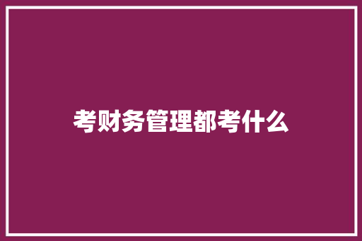 考财务管理都考什么 未命名