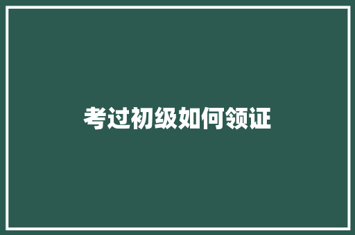 考过初级如何领证 未命名