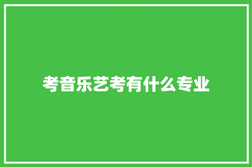 考音乐艺考有什么专业 未命名