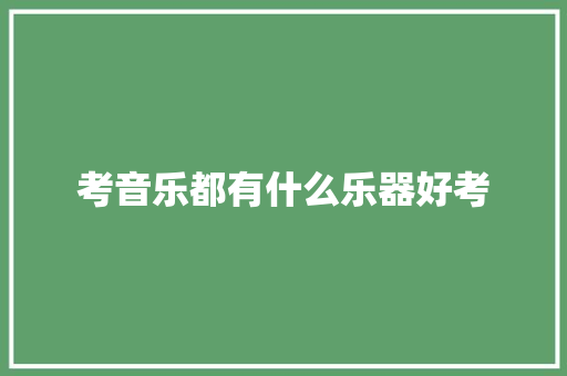 考音乐都有什么乐器好考 未命名